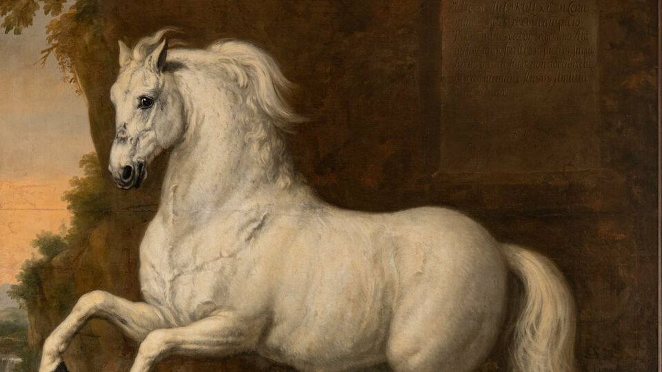 Målning föreställande en vit häst som stegrar sig.