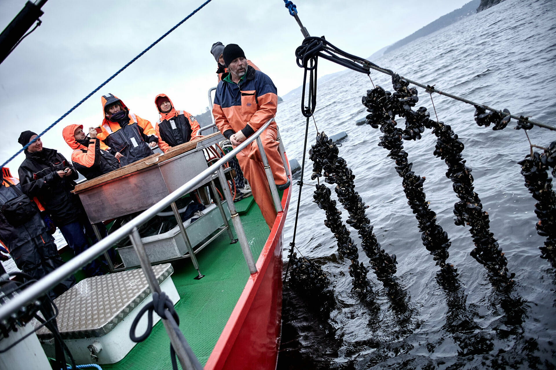 Musselfiske från en båt. En grupp människor deltar.